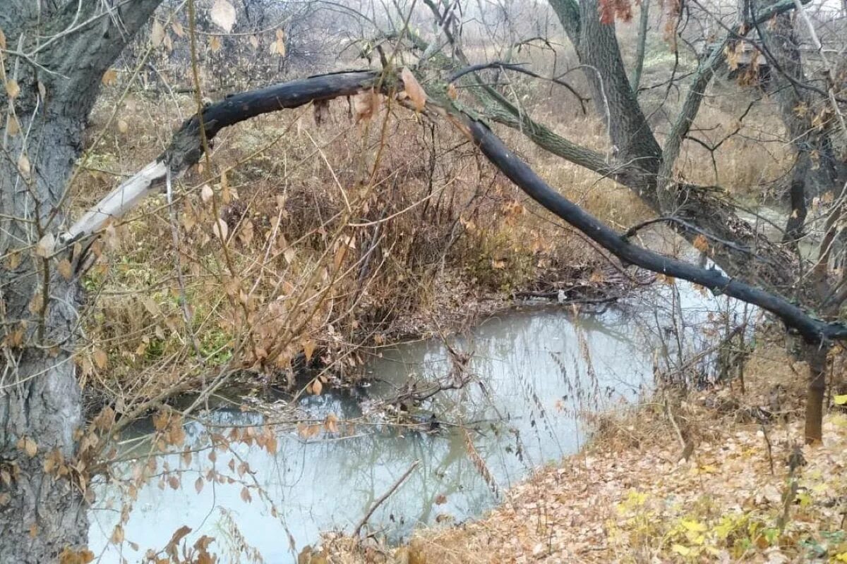 Вода в реках уфы. Река Шугуровка. Река белая загрязнение. Загрязнение реки белой в Башкирии. Шугуровка Уфа.