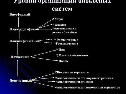 Рыба уровень организации