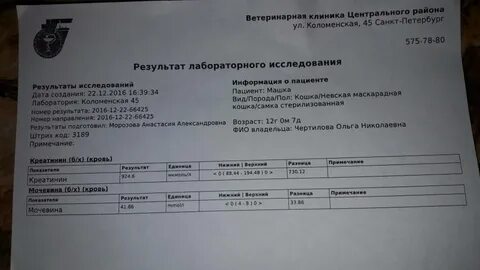Кортизол креатинин в моче у собаки
