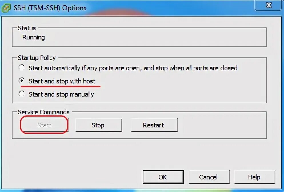 Ssh options. Ssh options
