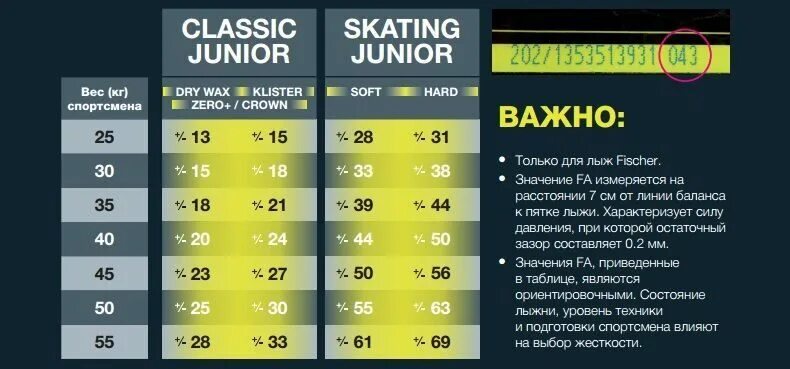 Беговые лыжи коньковые FISCHER CARBONLITE SKATE PLUS MEDIUM IFP N11522 купить с 