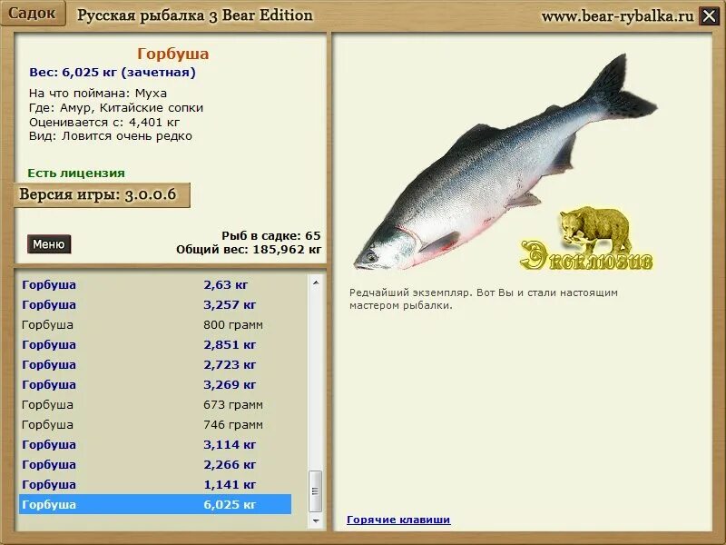 сообщение на тему горбуша. кижуч пбг. горбуша виды. самая большая рыба семейства лососевых. горбуша вес.
