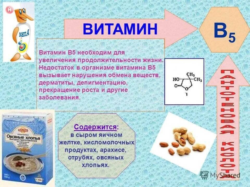 Чем можно заменить витамин. Витамин в6 в9 в12. Витамин в12 b6 b1. B3 b6 b12 витамины. Что такое витамины.