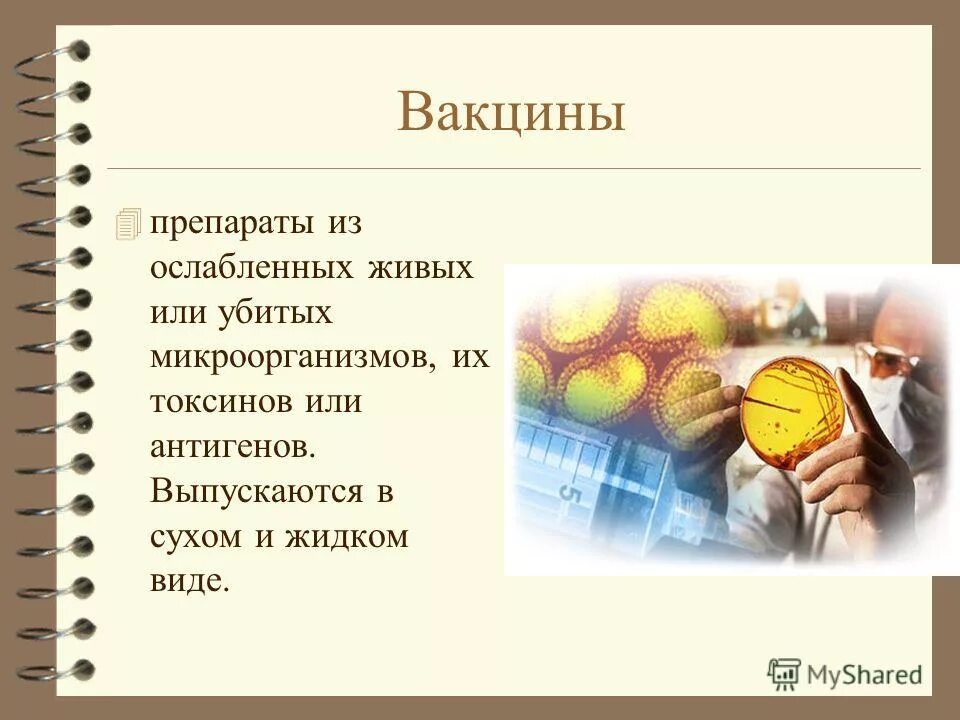 Содержит убитые или ослабленные вирусы или бактерии. Разработка вакцин против инфекционных заболеваний. Отличие вакцины от сыворотки. Основополагающие принципы вакцинации. Препарат из ослабленных или убитых микробов.