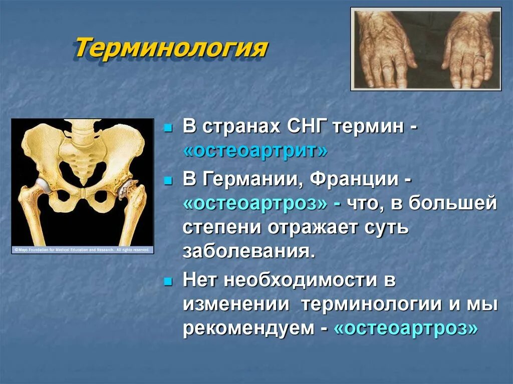 Нарушение латынь термин