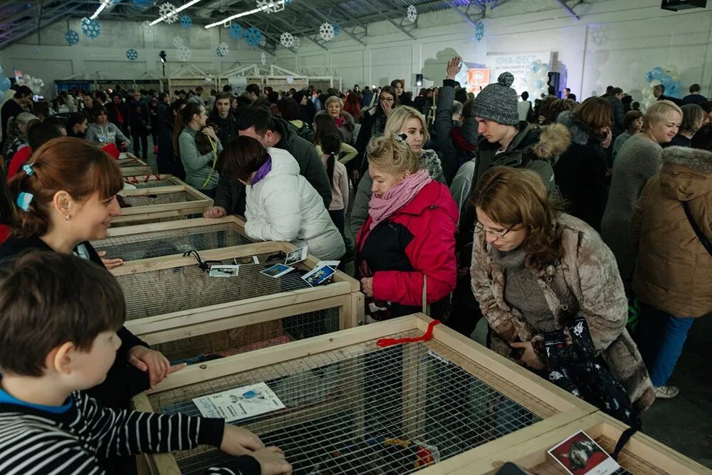 Юне центр. Подольск центр реабилитации животных. Юне центр. Логотип приюта. Юне центр.