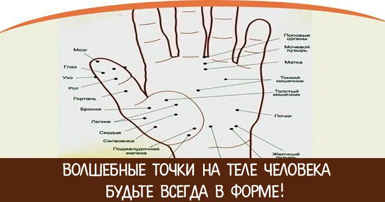 Экономика счастья. Экономика и счастье человека. Точка благополучно. Мотиваторы. Точка благополучно.