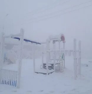 50 январь