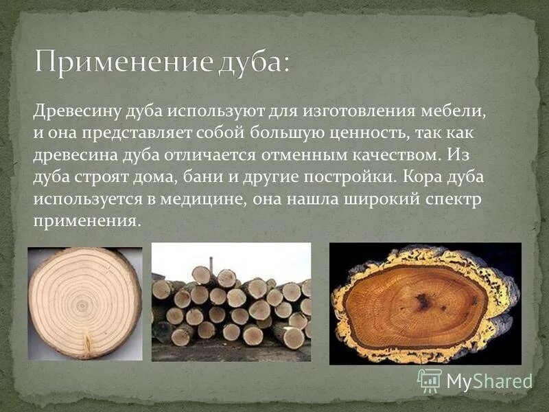Дерево используют для изготовления. Информация о древесине. Древесина используется. Где используется древесина. Области использования древесины.