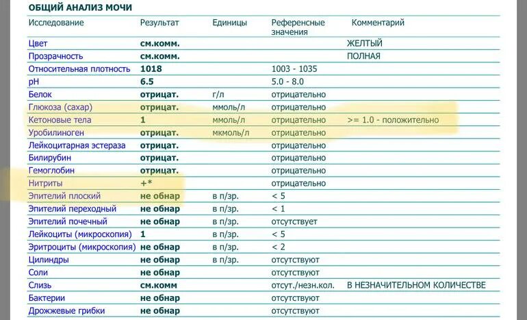 Лейкоциты в моче 2 триместр. Норма лейкоцитов в моче в 1 мл. Кетоновые тела общий анализ мочи у детей. Нормальные показатели анализа мочи общий и по Нечипоренко. Анализ мочи кетоновые тела норма.