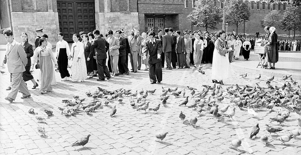 Фестиваль молодёжи и студентов в москве 1957. Сквер с толпой голубей. Голуби на всемирном фестивале молодежи 1957 год. Показать киргизских голубей. Фестиваль голубей.