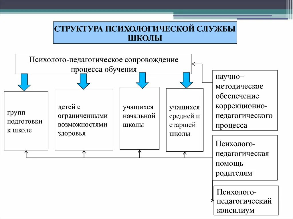 Психолого-педагогическая служба в школе. Структура психолого педагогической службы в школе. Структура психологической службы в школе. Психологическая служба в школе. Педагогическая служба в школе