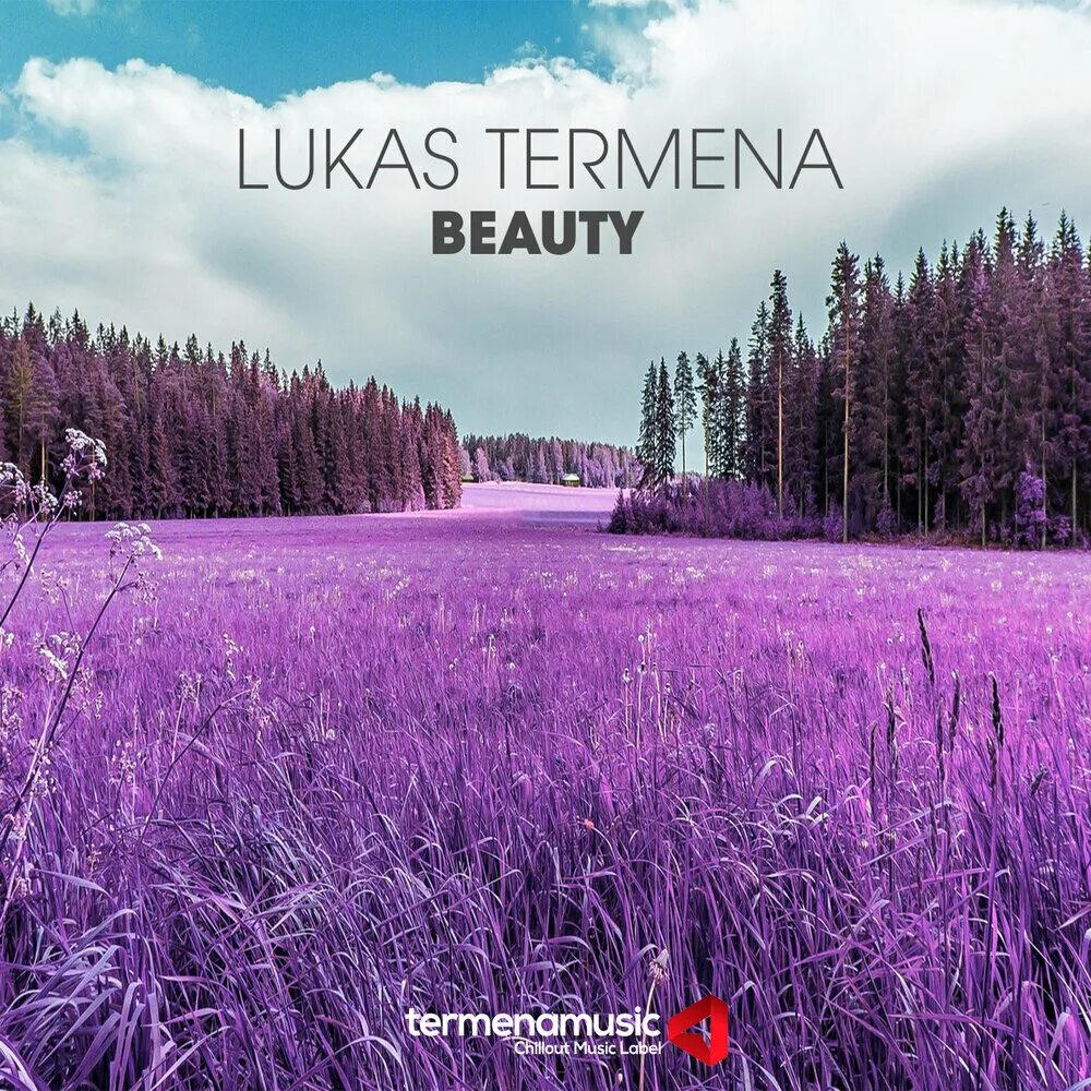 Lukas Termena. Lukas Termena Vocat. Альбом красоты. Lukas Termena - beginning of Life. Music is beautiful