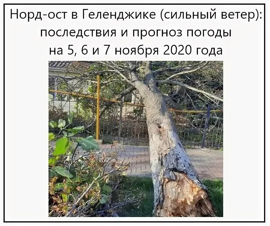 Море в геленджике в норд ост. Норд-ост ветер в геленджике. Смерч в геленджике 26 июля 2022. Почему в геленджике сильные ветра. Почему в геленджике сильные ветра.