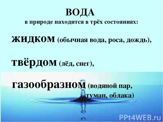 Туман в каком состоянии находится вода