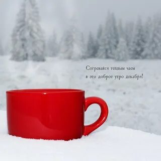 11 декабря утро