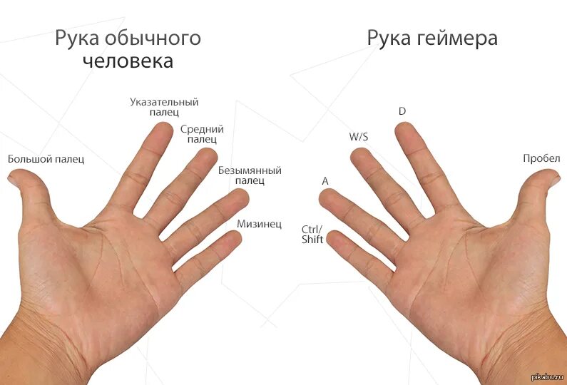 Между большим и указательным пальцем как называется