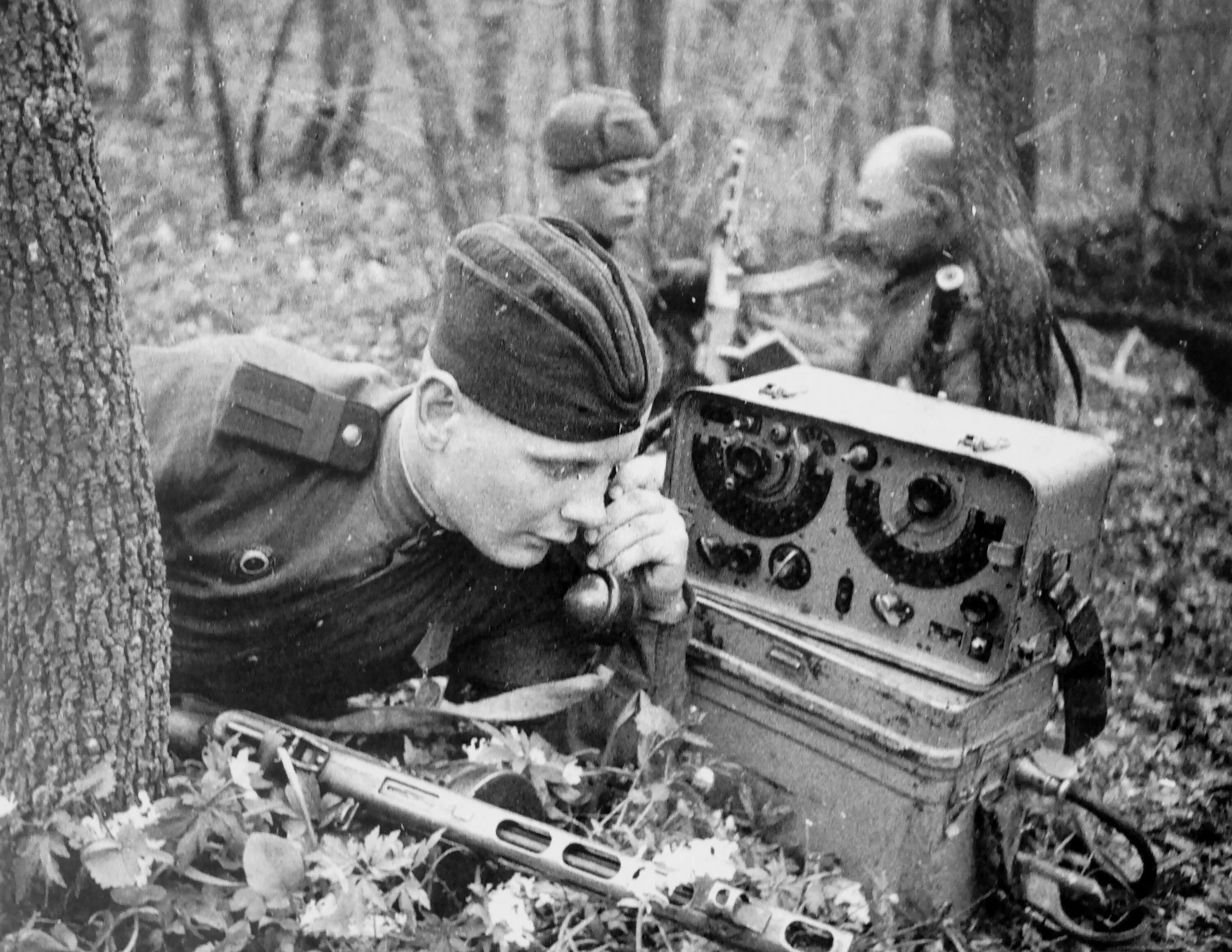 Связь во время великой отечественной. Радист РККА 1941. Связисты ВОВ 1941 1945. Радиостанция РБ (3-Р). Радиостанция РБ РККА.