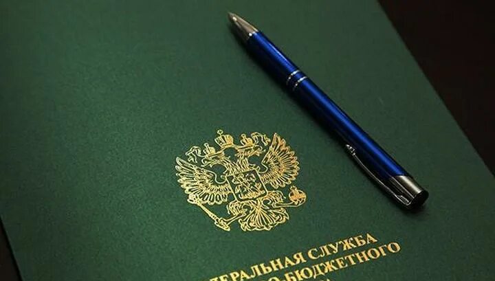 Территориальное управление федеральной службы финансово. Федеральная служба финансово-бюджетного надзора обязанности. Территориальное управление федеральной службы финансово. Финансово-бюджетный надзор. Территориальное управление федеральной службы финансово.