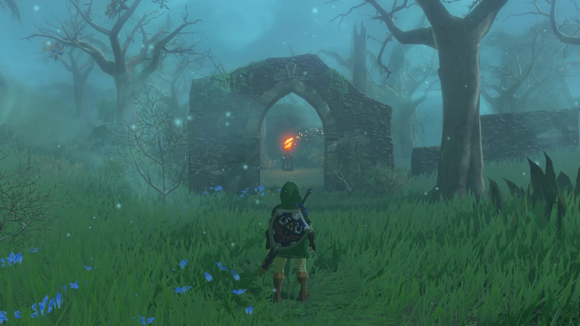 Zelda tears of the системные требования. Затерянный лес Breath of the Wild. Zelda Breath of the Wild лес. Zelda Breath of the Wild Korok Forest. Breath of the Wild лес Короков.