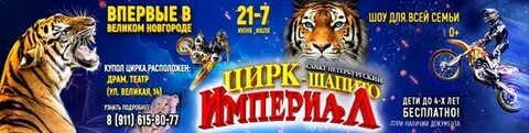 Билеты в цирк в новгород