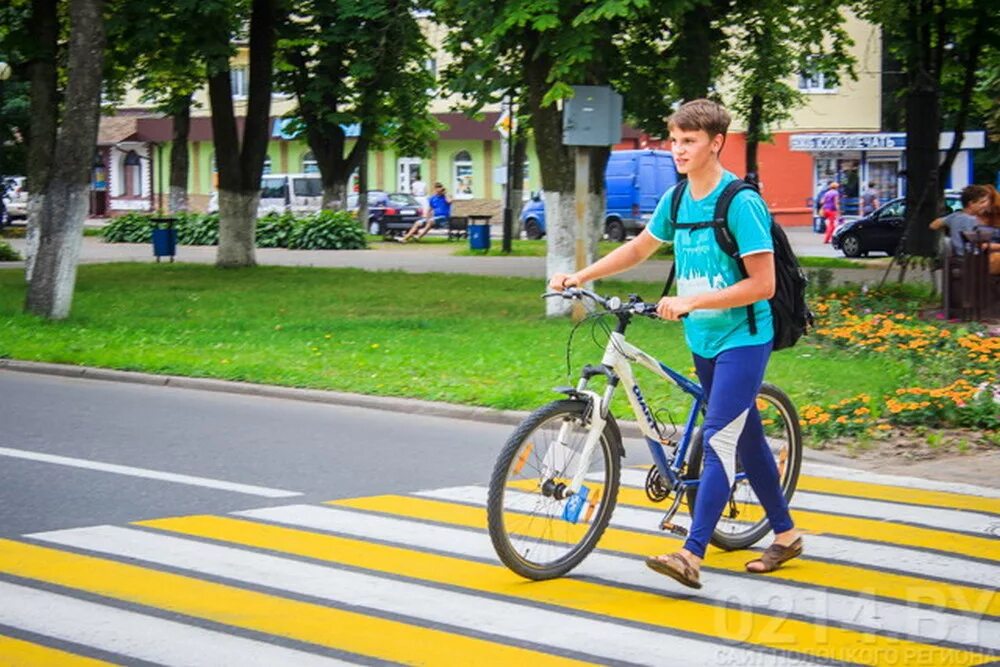 Пешеход с велосипедом. Велосипед на пешеходном переходе. Велосипедист на дороге. Дороги для велосипедистов. Пропустить велосипедистов