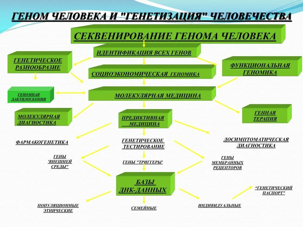 Секвенирование генетика. Секвенирования генома человека. Метод секвенирования генома человека. Стиквинирование геномы.