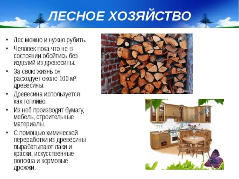 Лесное хозяйство презентация. Темы для презентаций лесного хозяйства. Лесное хозяйство доклад. Лесное хозяйство России презентация