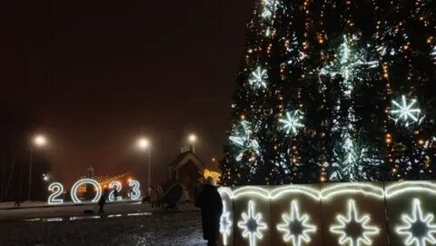 Ели губкин