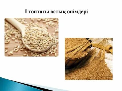 Техникалық дақылдар
