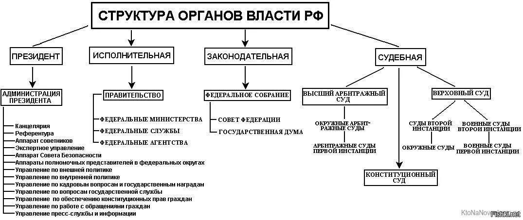 Высшие органы государственной власти рф 9 класс. Структура органов власти РФ схема. Структура федеральных органов власти РФ схема. Структура ветвей власти РФ. Структура органов гос власти РФ схема.