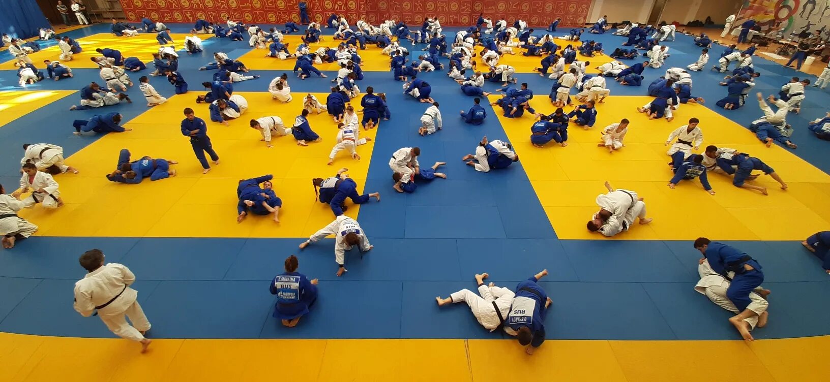 сборы вольная борьба. юта москва греко-римская борьба. тренировка борцов. греко римская борьба новосибирск. борцовский зал первомаец.