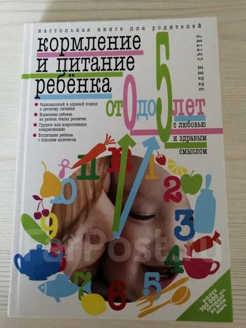 Эллин сэттер кормление и питание. Эллин сэттер кормление и питание