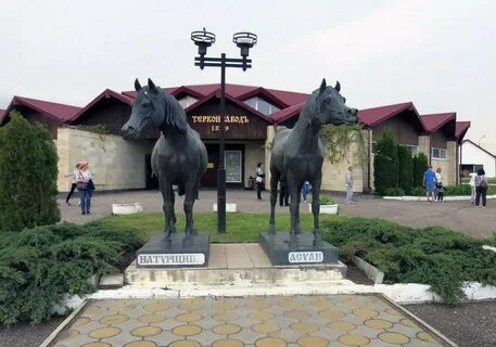 Терский конезавод