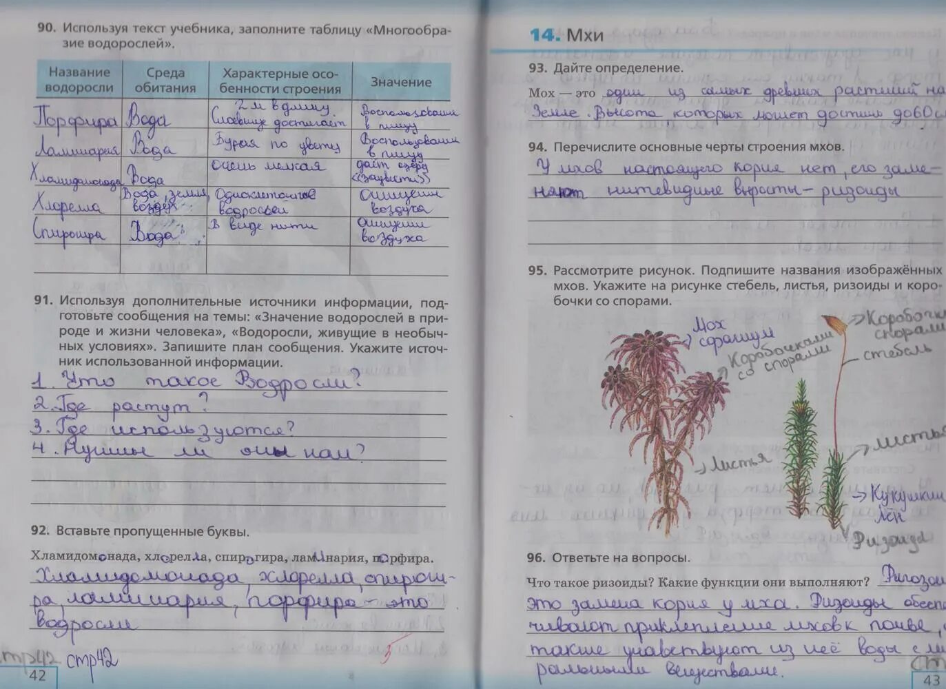 Домашнее задание по биологии. Биология 5 класс рабочая тетрадь. Рабочая тетрадь по биологии 5 класс страницы. Задание по биологии 5.