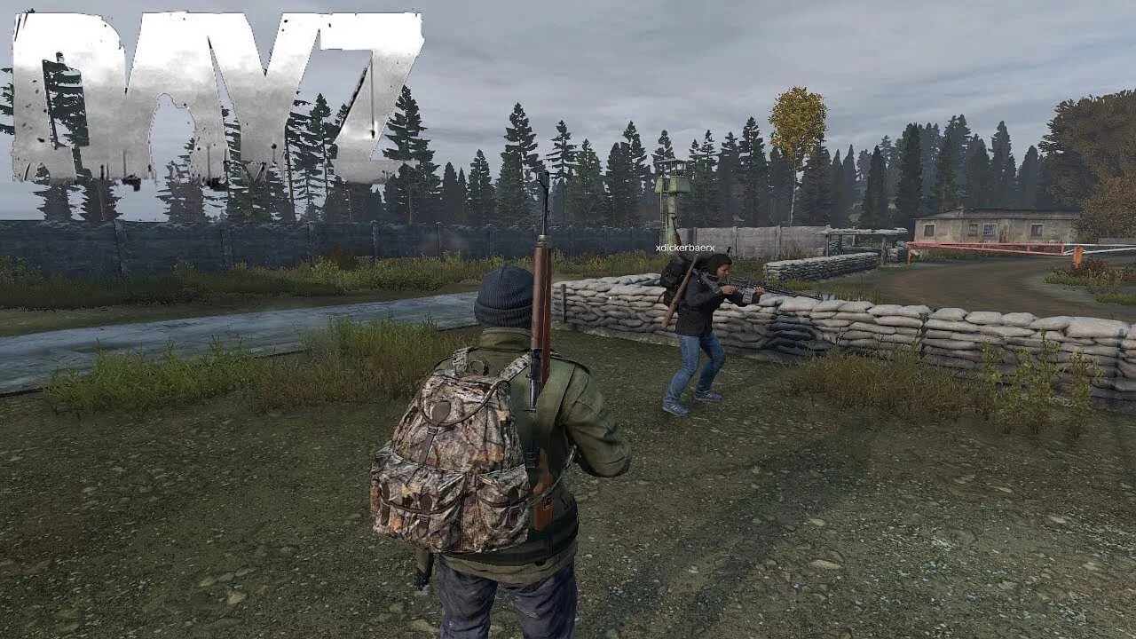 Сервера дейз. DAYZ модовые сервера. ПВЕ сервера DAYZ. Дальневосточный сервер DAYZ. Dayz mission server