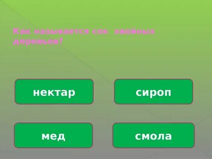Викторины лес