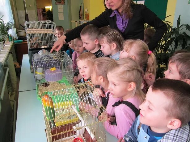 детский сад живой