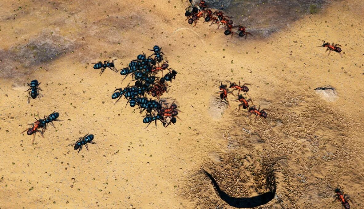 The ants хорошие муравьи. Империя муравьев игра. Муравей. Игра про муравьев и жизнь. Империя муравьев игра.