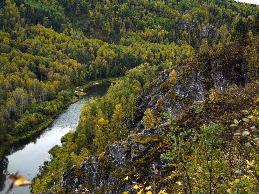 Красивые места новосибирской области. Гора зверобой Бердские скалы. Бердские скалы (зверобой) Новосибирск. Река Бердь Салаирский Кряж. Парк Бердские скалы Новосибирск.