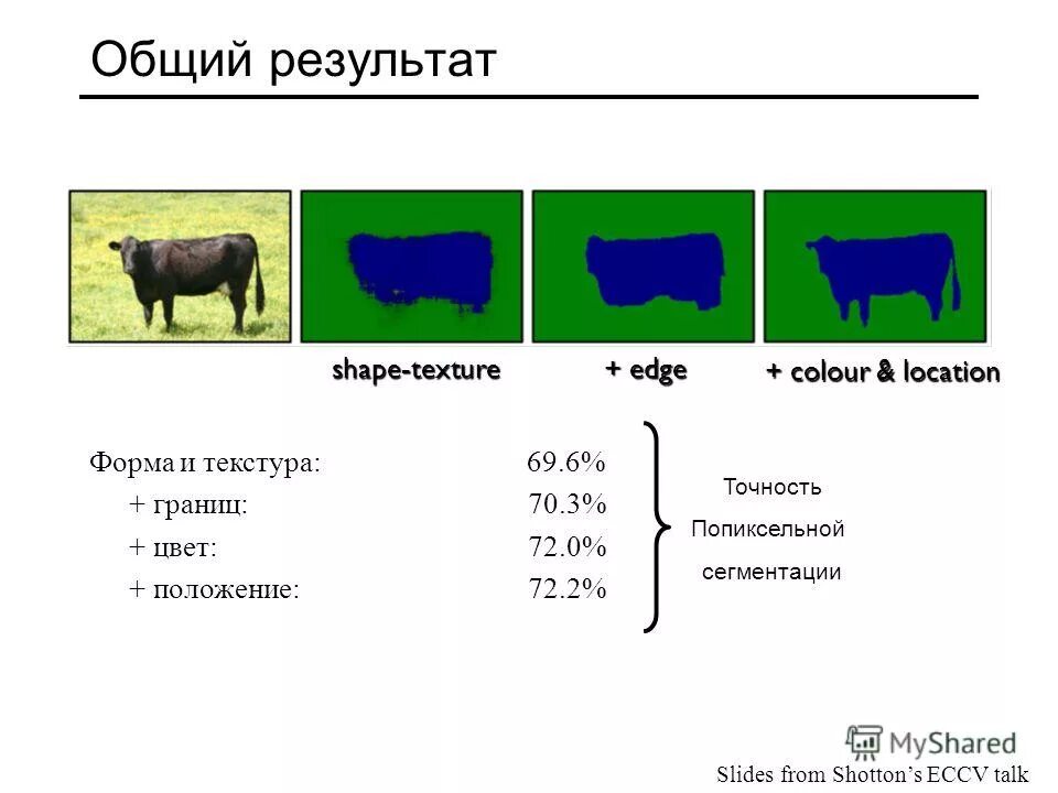 Строение арахнид. Гомономная сегментация у кольчатых червей. Сегментация рыб. Таблица насекомые 7 класс биология общая характеристика. Сегменты тела паукообразных.