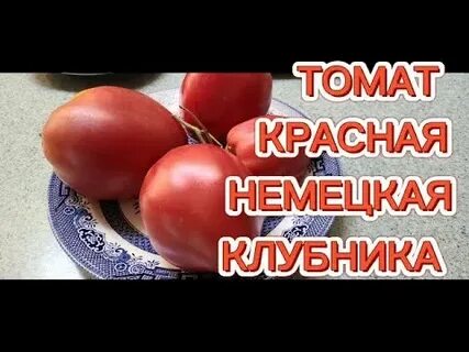 Немецкая красная клубника томат описание