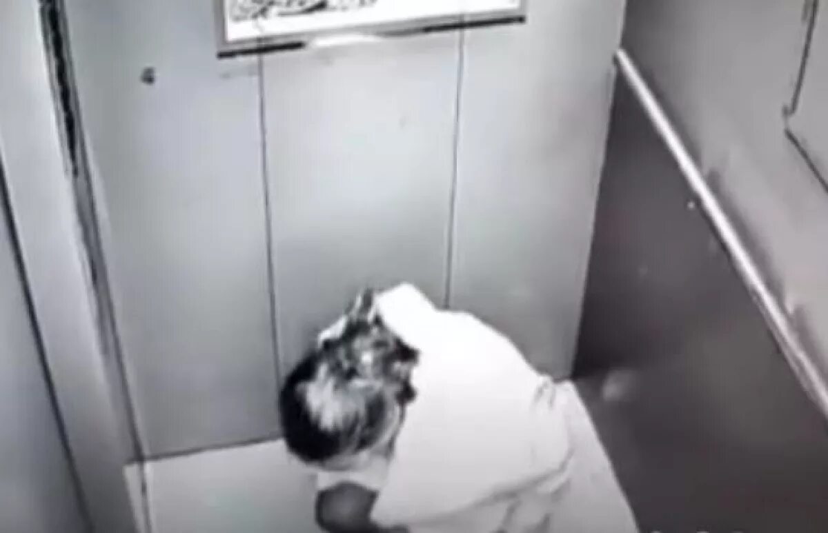 справила нужду девочка в подъезде. скрытые видеокамеры в примерочных. справляют нужду камера. видеонаблюдение в подъездах ссут. справление нужды в подъездах.