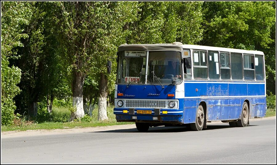 город елец автобусы. автостанция 1 елец. расписание 216 автобуса новосибирск шилово 2022. автобус 216 елец. автобусы елец.