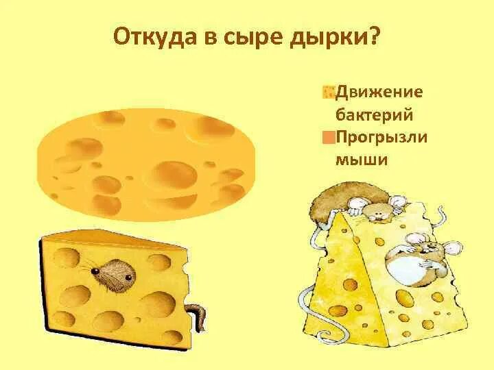 Почему сыр не получился. Дырки в сыре. Откуда в сыре дырочки. Почему в сыре дырки. Сыр с дырочками.