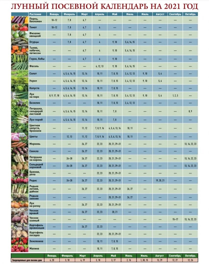 Календарь огородника на 2022 лунный посевной. Лунный посевной календарь на 2022 год садовода и огородника. Лунный посевной календарь на 2022. Лунный посадочный календарь на 2022.