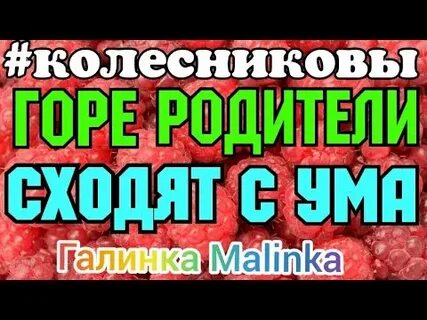 Влог колесниковы