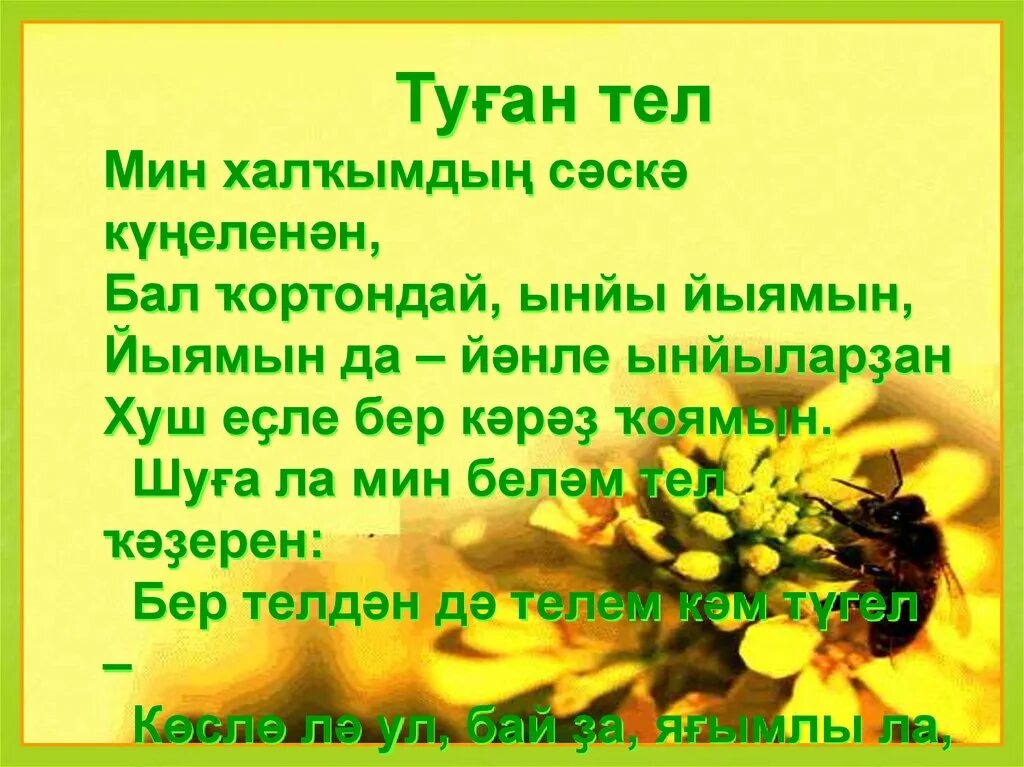 Башкорт теле стихи на башкирском. Стихи ко дню башкирского языка. день родного языка на башкирском языке. высказывания о башкирском языке. день башкирского языка стихотворение.