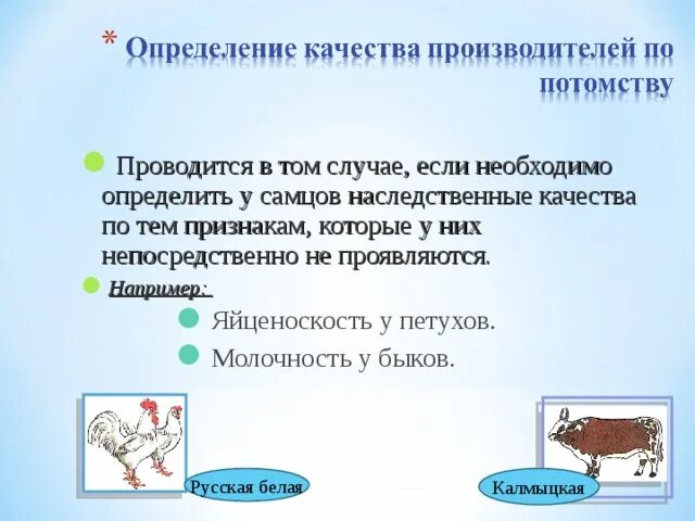 Определение качеств производителя по потомству. Оценка производителя по потомству. Метод определения качества производителей по потомству. Испытание по потомству.