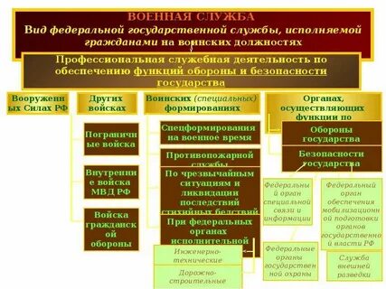 Государственная служба особый вид профессиональной деятельности